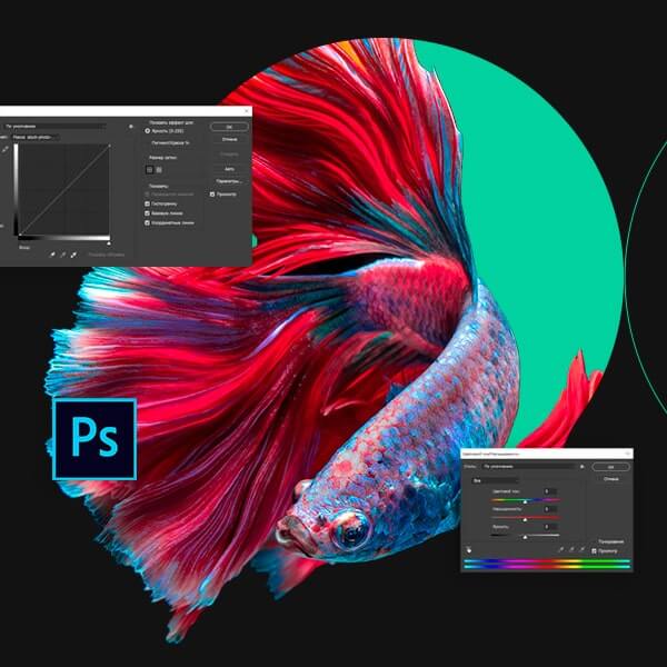 Онлайн курс "Онлайн Курс Дизайн и UX Основы Adobe Photoshop"
